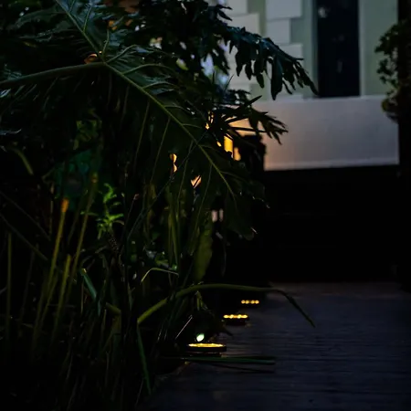 Green Point'S Eyrie - Indulge In An Urban Oasis Cape Town Exterior photo